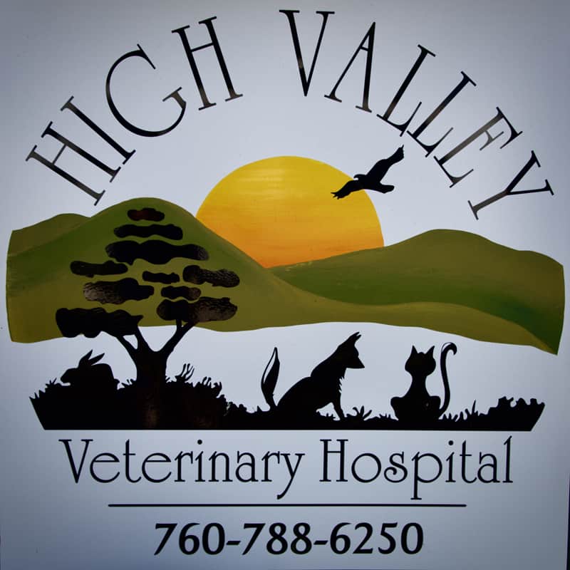 High Valley Veterinary Hospital. Logo is an silhouette of a dog and cat next to a tree in front of green rolling hills and a setting sun